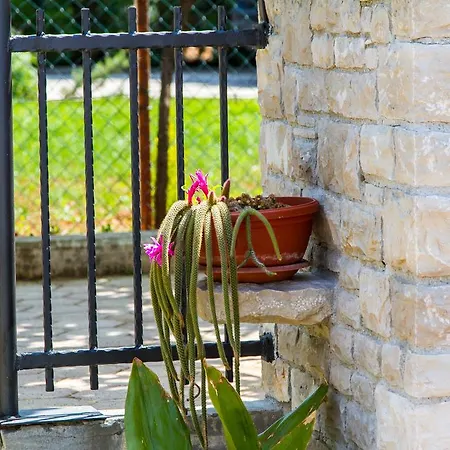 Villa Vista Апартаменты