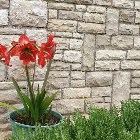 Апартаменты Villa Vista